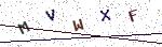 E-Mail Image Verification