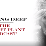 ROBERT PLANT PODCAST/TBL KNEBWORTH NO SLEEPING BAG REQUIRED EVENT/LZ NEWS/TBL ARCHIVE SPECIAL LED ZEP DVD AND ROBERT PLANT STORYTELLERS/THE DAY I WAS THERE BOOK/CODA REDDITCH GIG/ ROCKETMAN FILM/DL DIARY BLOG UPDATE