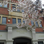 TBL 37 SHIPPING NOW /LED ZEPPELIN REISSUES – EXCLUSIVE TBL PREVIEW FROM THE COMPANION AUDIO DISC OLYMPIC STUDIOS PLAYBACK